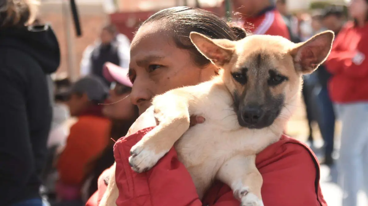 Promueven en colonias y comunidades de Irapuato evitar el maltrato animal (2)